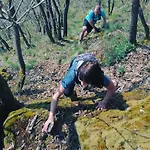 B&B Escale D'hotes Au Coeur Du Vieux Entre Namur Et Dinant 프로폰데빌