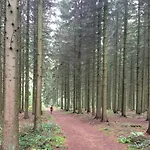 B&B Escale D'hotes Au Coeur Du Vieux Entre Namur Et Dinant 4*