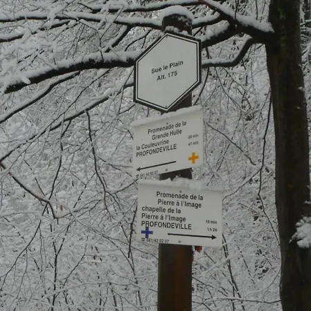 Escale D'hotes Au Coeur Du Vieux Entre Namur Et Dinant 4* Profondeville