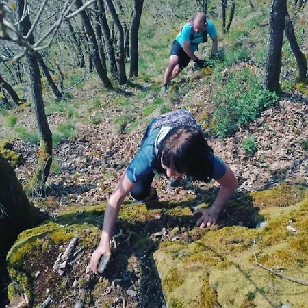 B&B Escale D'hotes Au Coeur Du Vieux Entre Namur Et Dinant 프로폰데빌