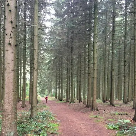 B&B Escale D'hotes Au Coeur Du Vieux Entre Namur Et Dinant 4*