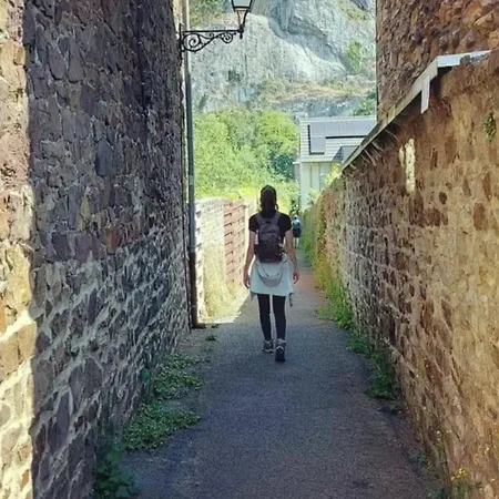 Escale D'hotes Au Coeur Du Vieux Entre Namur Et Dinant B&B