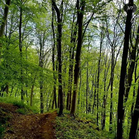 Escale D'hotes Au Coeur Du Vieux Entre Namur Et Dinant, Pres De La Meuse 4* Profondeville