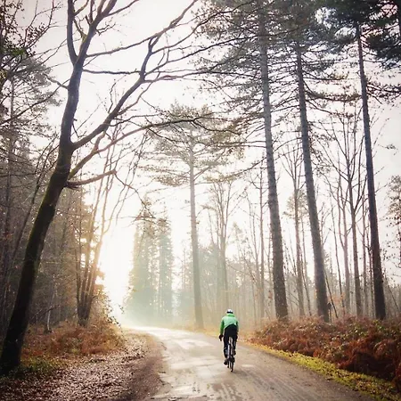 B&B Escale D'hotes Au Coeur Du Vieux Entre Namur Et Dinant