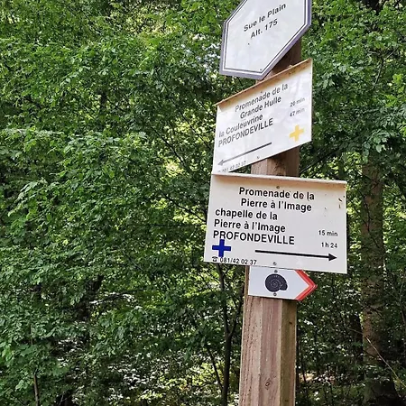 B&B Escale D'hotes Au Coeur Du Vieux Entre Namur Et Dinant 4*