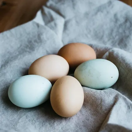 Escale D'hotes Au Coeur Du Vieux Entre Namur Et Dinant 4* 프로폰데빌