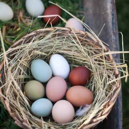 Escale D'hotes Au Coeur Du Vieux Entre Namur Et Dinant 4*
