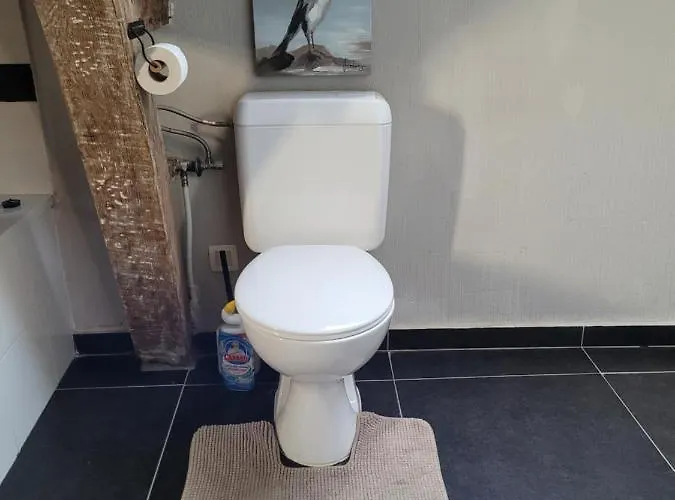 Nocleg ze śniadaniem Escale D'hotes Au Coeur Du Vieux Entre Namur Et Dinant 4*