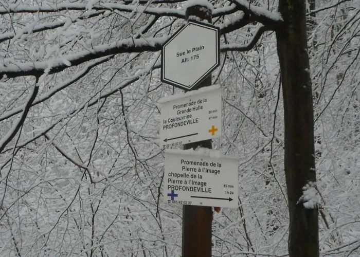 Escale D'hotes Au Coeur Du Vieux Entre Namur Et Dinant 4* Profondeville