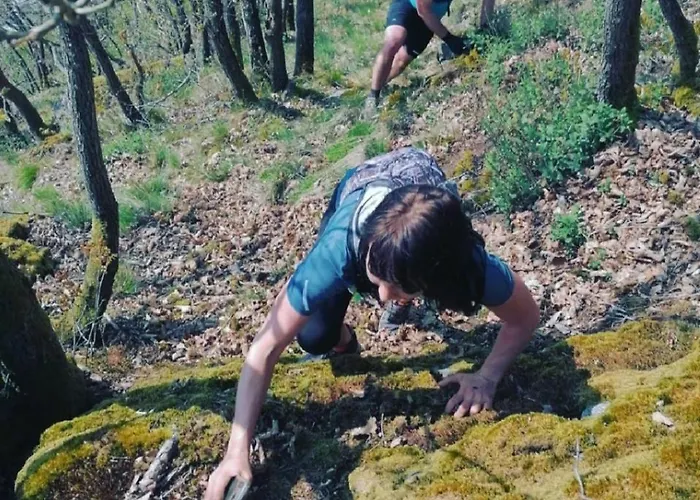 Nocleg ze śniadaniem Escale D'hotes Au Coeur Du Vieux Entre Namur Et Dinant Profondeville