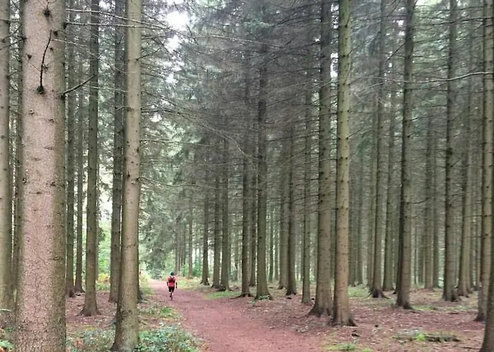 Nocleg ze śniadaniem Escale D'hotes Au Coeur Du Vieux Entre Namur Et Dinant 4*