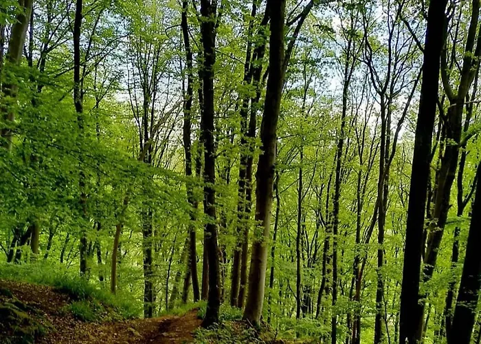 Escale D'hotes Au Coeur Du Vieux Entre Namur Et Dinant 4* Profondeville