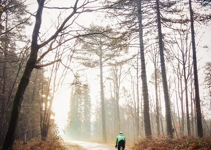 Nocleg ze śniadaniem Escale D'hotes Au Coeur Du Vieux Entre Namur Et Dinant