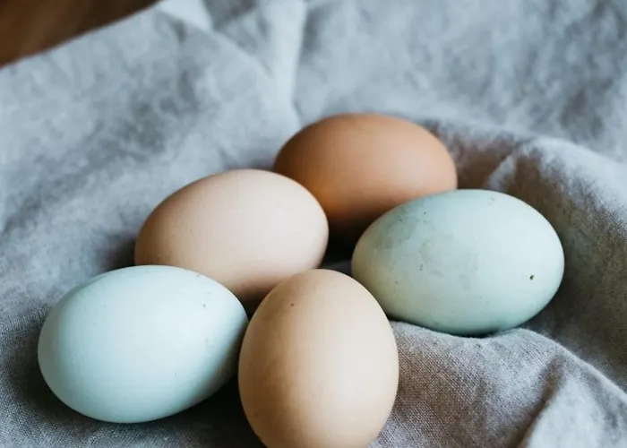 Escale D'hotes Au Coeur Du Vieux Entre Namur Et Dinant 4* Profondeville