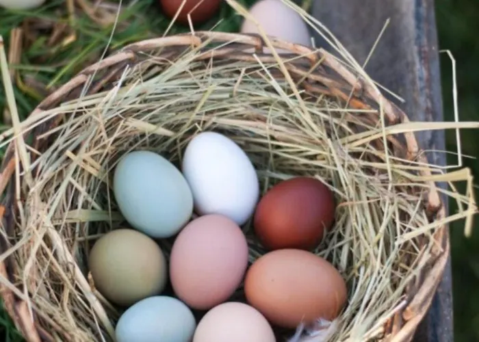 Escale D'hotes Au Coeur Du Vieux Entre Namur Et Dinant 4*