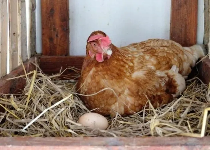 Escale D'hotes Au Coeur Du Vieux Entre Namur Et Dinant 4* Profondeville